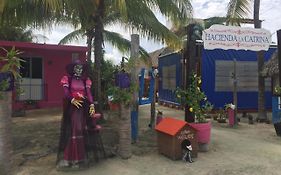 Hotel Hacienda La Catrina