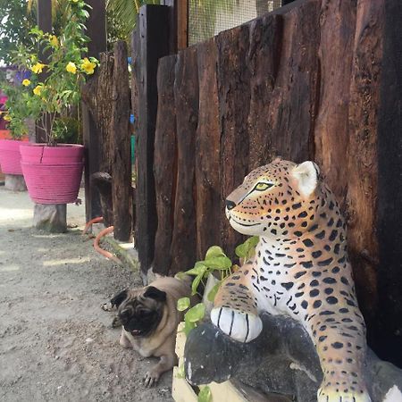 Hotel Hacienda La Catrina Isla Holbox Exterior foto